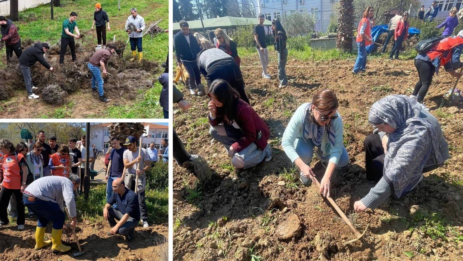 Balıkesir Üniversitesi Edremit Meslek Yüksekokulu’nda,