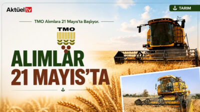 Toprak Mahsulleri Ofisi, 2026 yılı buğday ve arpa alımlarına 21