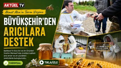 Büyükşehir Belediyesi, arıcılara ana arı ve arı yüzüğü desteği sağlayarak