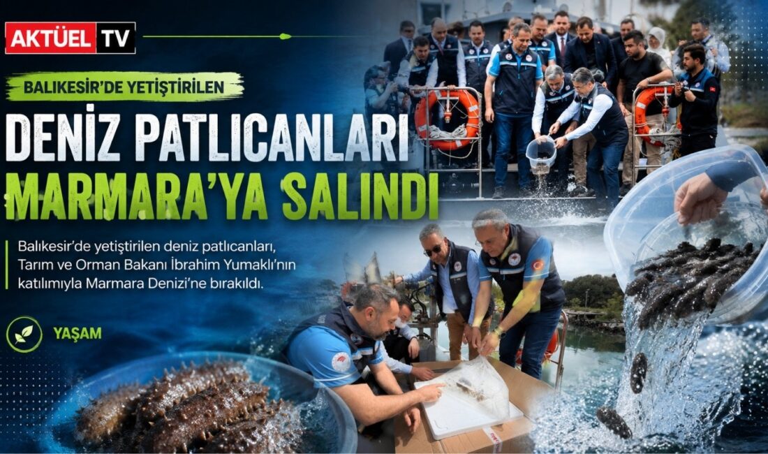 Balıkesir’de yetiştirilen deniz patlıcanları, Tarım ve Orman Bakanı İbrahim Yumaklı’nın