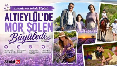 Altıeylül Belediyesi tarafından düzenlenen 4. Lavanta Günleri, binlerce ziyaretçiyi mor
