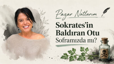 Ünlü filozof Sokrates'in Baldıran Otu Soframızda mı? Hayat gerçekten zor...