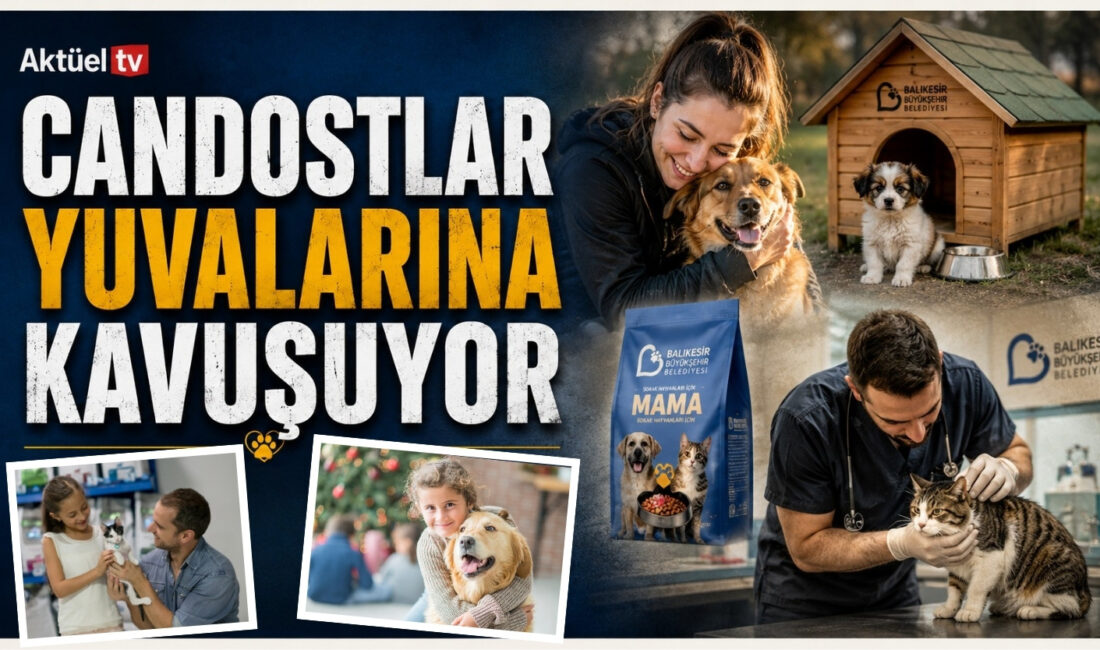 Balıkesir Büyükşehir Belediyesi’nin “Can Dostlar Uygulaması” ve web sitesi üzerinden