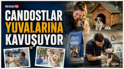 Balıkesir Büyükşehir Belediyesi’nin “Can Dostlar Uygulaması” ve web sitesi üzerinden