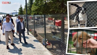 Altıeylül Belediye Başkanı Hakan Şehirli, Hayvan Bakımevi ve Doğal Yaşam