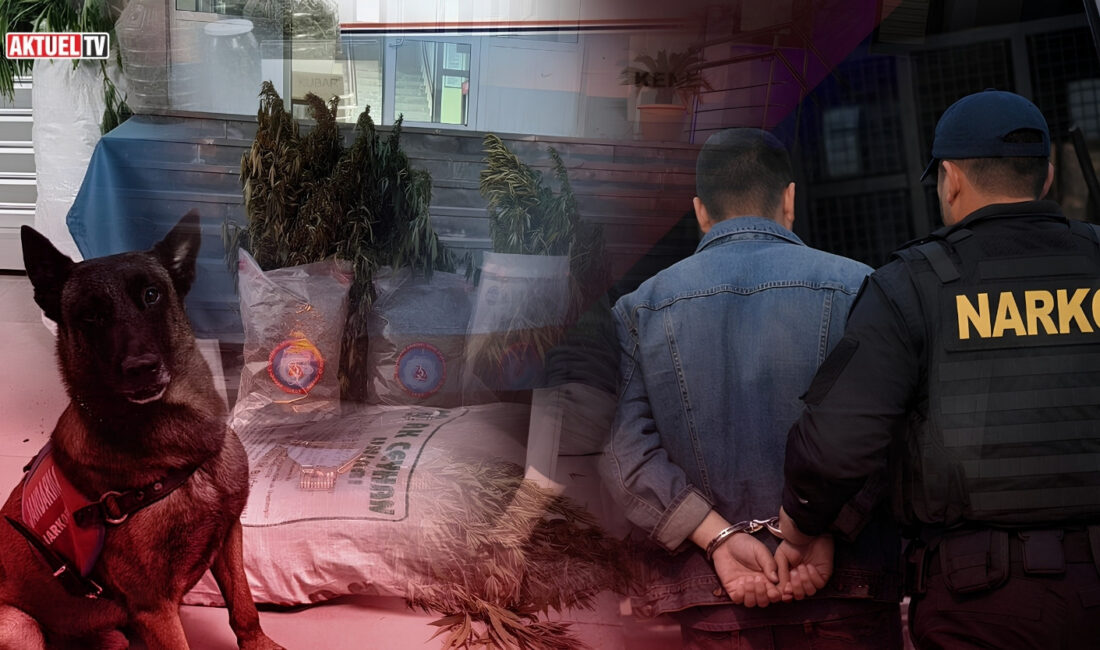 Jandarma ekiplerinin 20 ilde düzenlediği operasyonlarda 580 kilogram uyuşturucu madde,