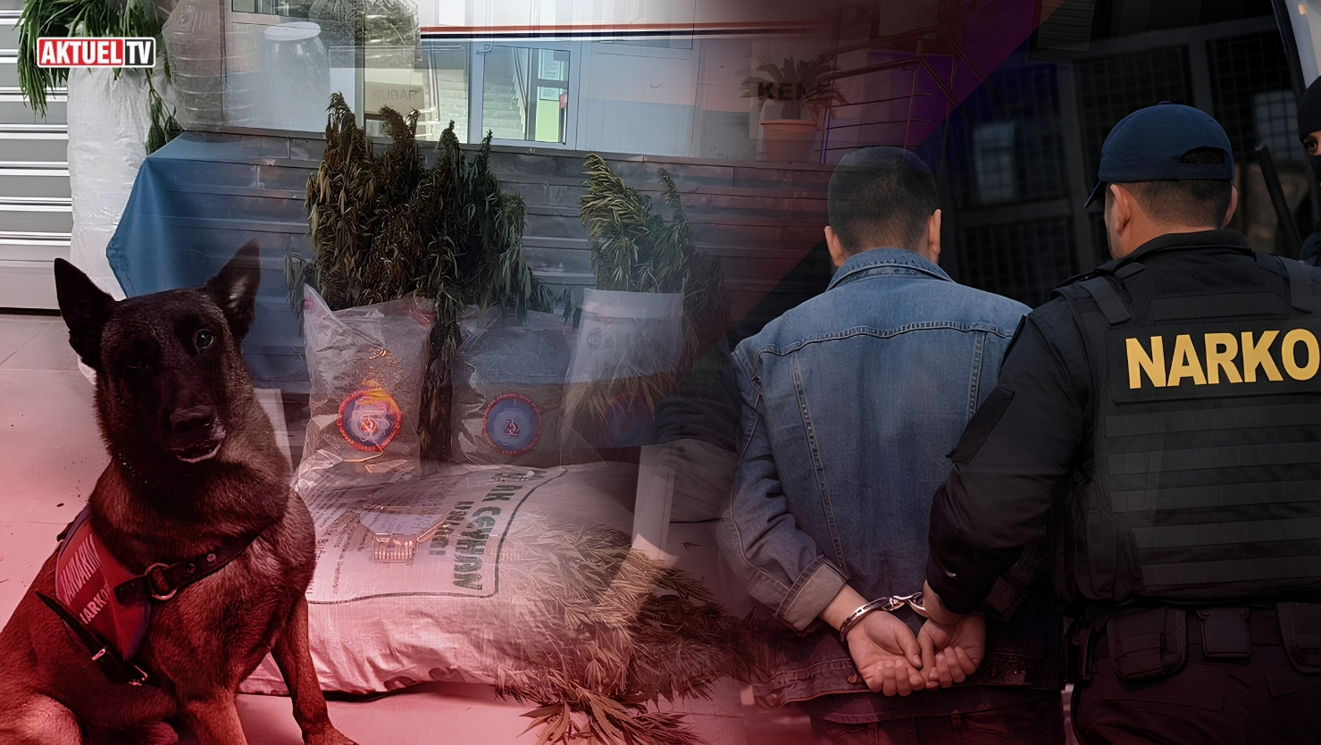 Jandarma ekiplerinin 20 ilde düzenlediği operasyonlarda 580 kilogram uyuşturucu madde,