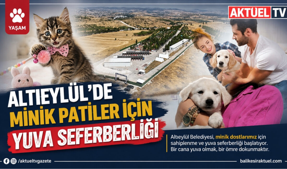 Altıeylül Belediyesi, sahipsiz hayvanların sıcak yuvalara kavuşması amacıyla “Sahiplen, Sevgini