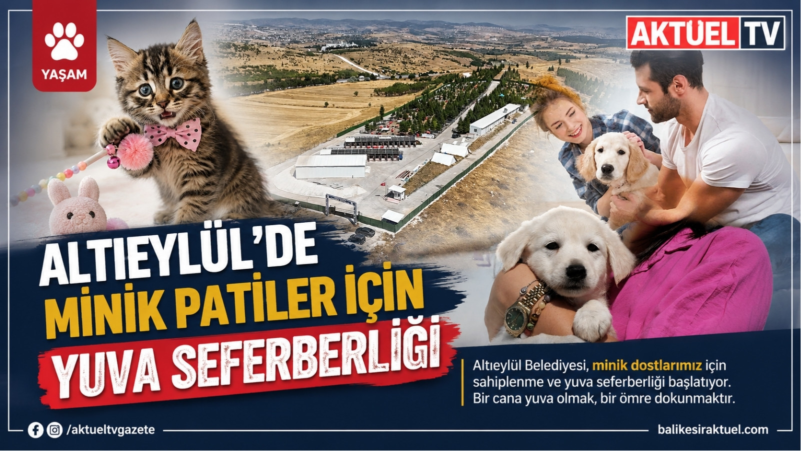 Altıeylül Belediyesi, sahipsiz hayvanların sıcak yuvalara kavuşması amacıyla “Sahiplen, Sevgini