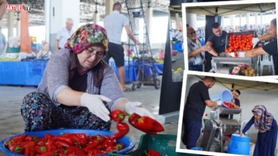 Ayvalık Belediyesi ile Ayvalık Üretim ve Pazarlama Kooperatifi iş birliğinde