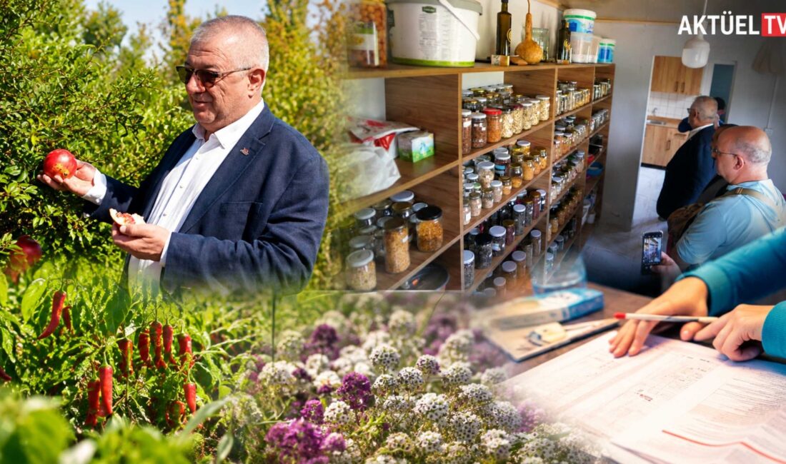 Edremit Belediyesi, Fidanlık ve Ata Tohumu Üretim Merkezi’nde 137 farklı