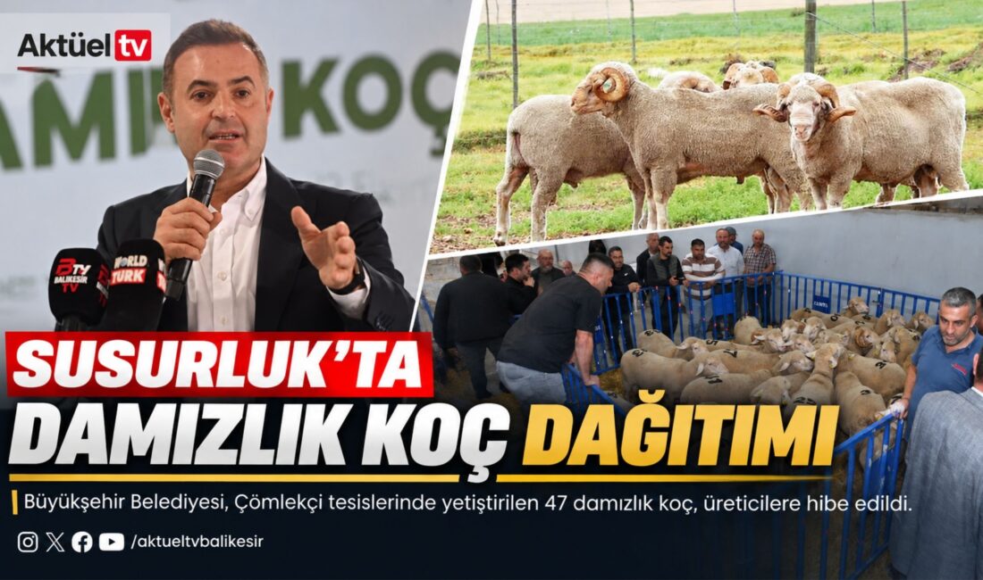Balıkesir’i hayvancılıkta Türkiye'nin parlayan yıldızı yapma hedefiyle çalışan Balıkesir Büyükşehir