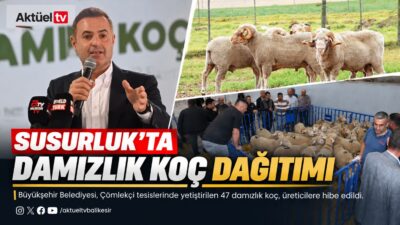 Balıkesir’i hayvancılıkta Türkiye'nin parlayan yıldızı yapma hedefiyle çalışan Balıkesir Büyükşehir