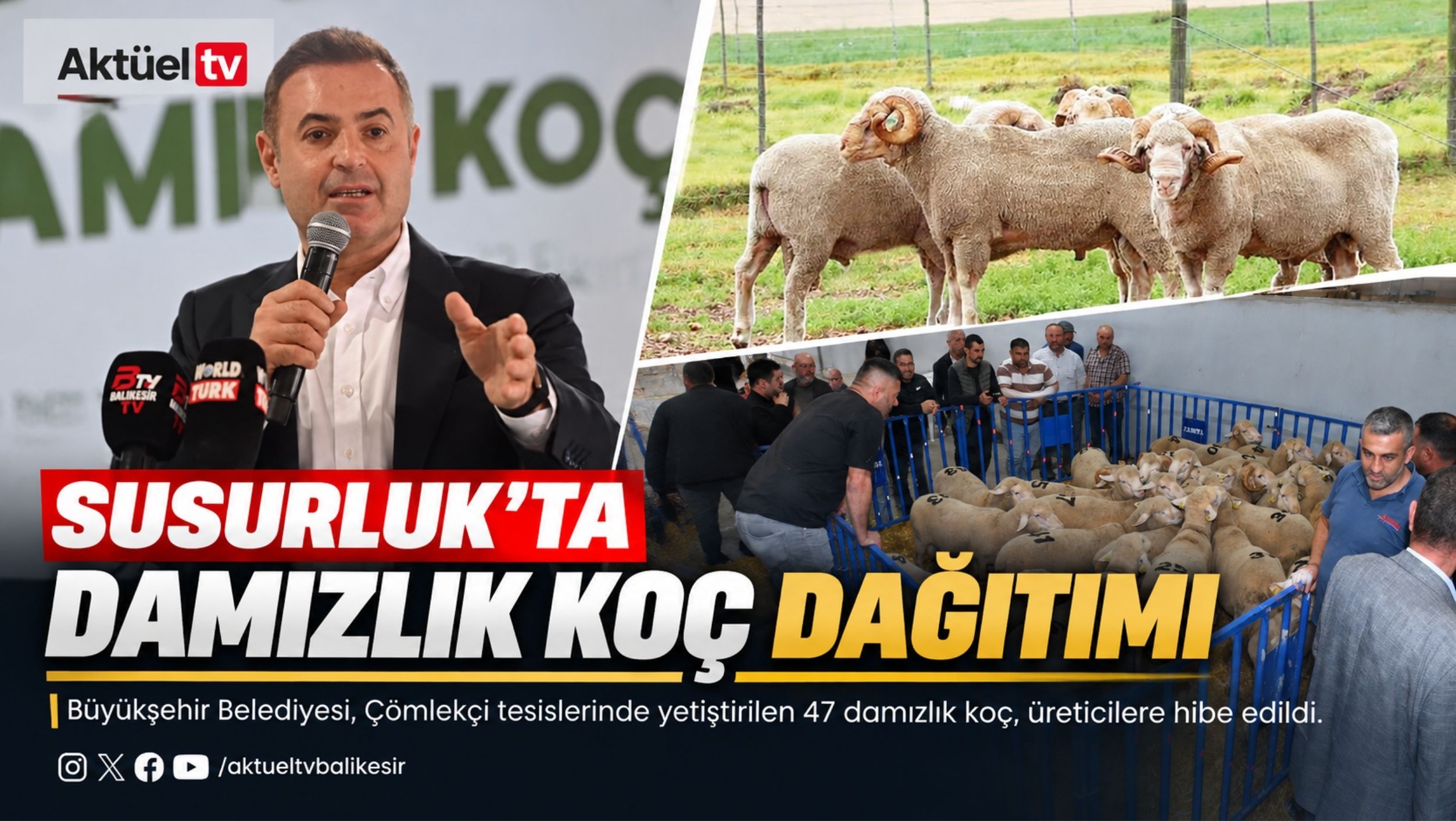 Balıkesir’i hayvancılıkta Türkiye'nin parlayan yıldızı